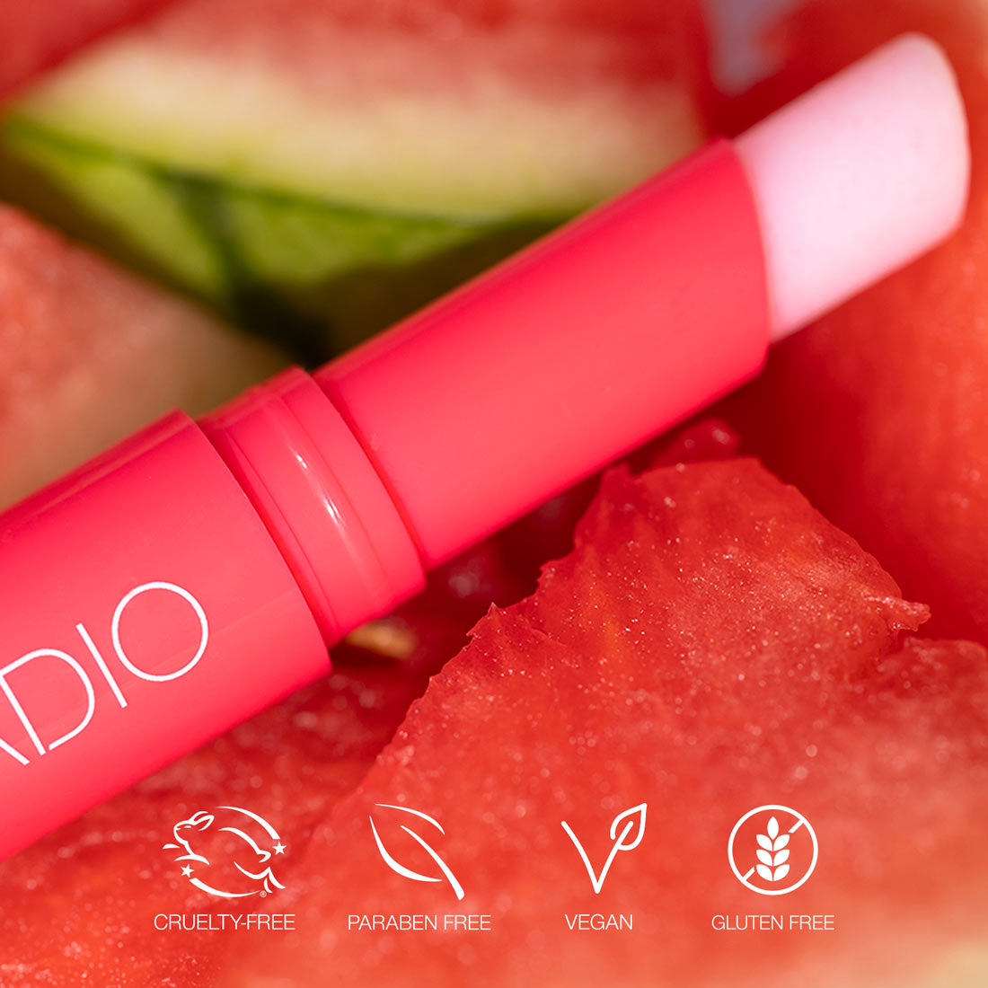 Lip Scrub closeup with watermelon