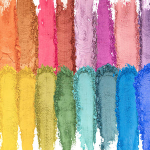 Ultimate 16 Count Pro Shadow Palette